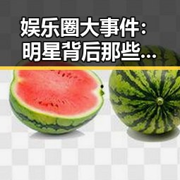 娱乐圈大事件：明星背后那些令人震惊的真相竟藏在这里！