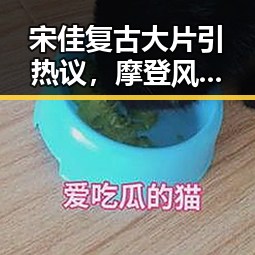宋佳复古大片引热议，摩登风尚再掀话题潮