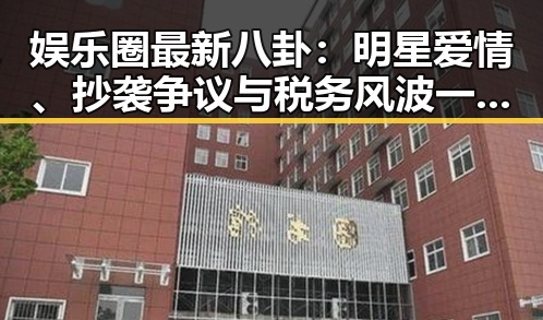 娱乐圈最新八卦：明星爱情、抄袭争议与税务风波一网打尽
